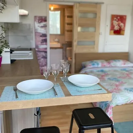 Le Cosy - Rez De Jardin * Tassin-la-Demi-Lune